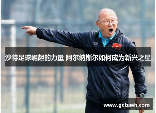 沙特足球崛起的力量 阿尔纳斯尔如何成为新兴之星