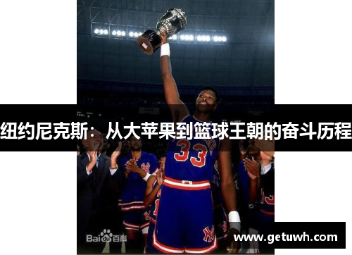 纽约尼克斯:从大苹果到篮球王朝的奋斗历程 纽约尼克斯:从大苹果到篮球王朝的奋斗历程