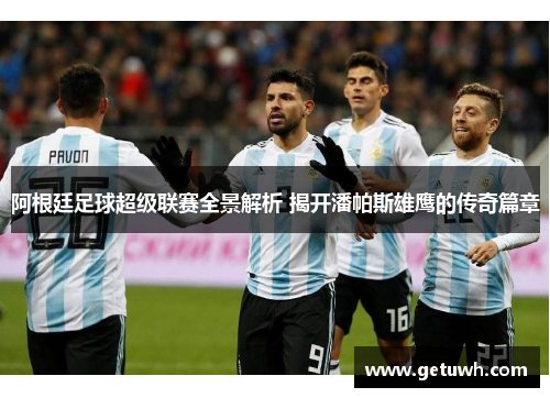 阿根廷足球超级联赛全景解析 揭开潘帕斯雄鹰的传奇篇章