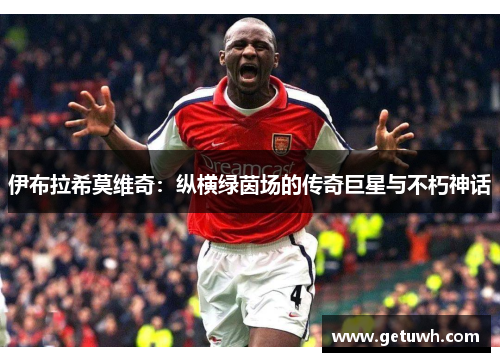 伊布拉希莫维奇:纵横绿茵场的传奇巨星与不朽神话 伊布拉希莫维奇:纵横绿茵场的传奇巨星与不朽神话