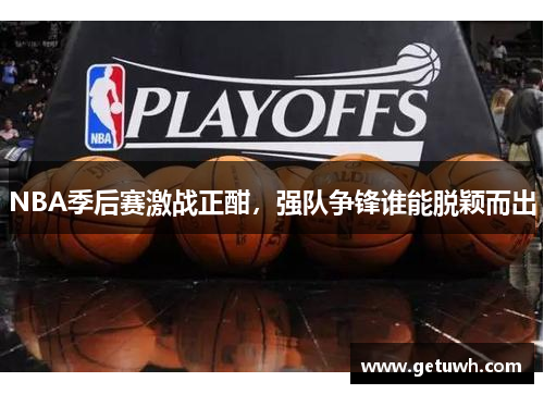 NBA季后赛激战正酣，强队争锋谁能脱颖而出